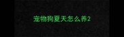 宠物狗夏天怎么养