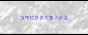 拉布拉多多大笼子合适