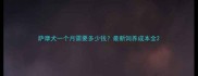 萨摩犬一个月需要多少钱最新饲养成本全