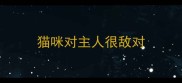 猫咪对主人很敌对