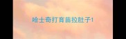 哈士奇打育苗拉肚子