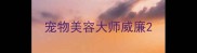 宠物美容大师威廉