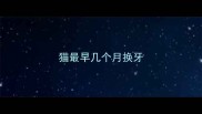 猫最早几个月换牙