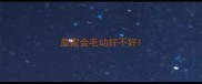 皇家金毛幼好不好