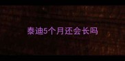 泰迪5个月还会长吗