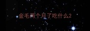 金毛两个月了吃什么