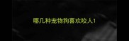 哪几种宠物狗喜欢咬人
