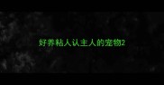好养粘人认主人的宠物