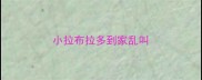 小拉布拉多到家乱叫