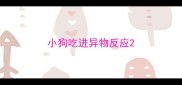 小狗吃进异物反应