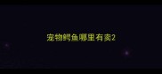 宠物鳄鱼哪里有卖