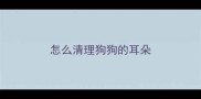 怎么清理狗狗的耳朵