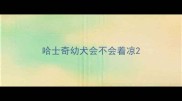 哈士奇幼犬会不会着凉