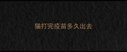 猫打完疫苗多久出去