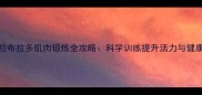 拉布拉多肌肉锻炼全攻略科学训练提升活力与健康