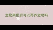 宠物离世后可以再养宠物吗