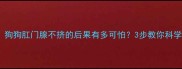 新手必看狗狗肛门腺不挤的后果有多可怕3步教你科学护理避雷
