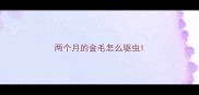 两个月的金毛怎么驱虫