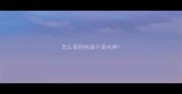 怎么看狗狗是不是纯种