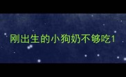 刚出生的小狗奶不够吃
