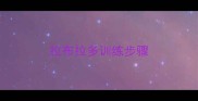 拉布拉多训练步骤