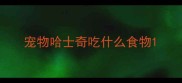 宠物哈士奇吃什么食物