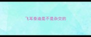 飞耳泰迪是不是杂交的