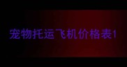 宠物托运飞机价格表