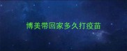 博美带回家多久打疫苗