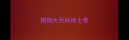 狗狗大百科哈士奇