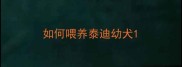 如何喂养泰迪幼犬