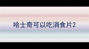哈士奇可以吃消食片