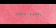 泰迪刚生下来毛卷吗