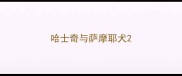 哈士奇与萨摩耶犬