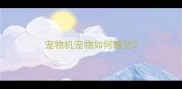 宠物机宠物如何睡觉