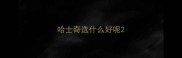 哈士奇选什么好呢