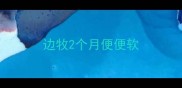 边牧2个月便便软