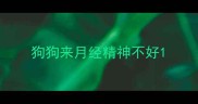 狗狗来月经精神不好