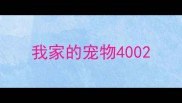 我家的宠物400