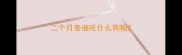 二个月泰迪吃什么狗粮