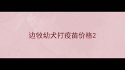 边牧幼犬打疫苗价格