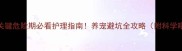 泰迪犬3个关键危险期必看护理指南养宠避坑全攻略附科学喂养方案