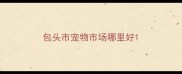 包头市宠物市场哪里好