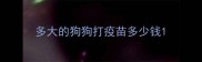 多大的狗狗打疫苗多少钱