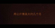 两公斤博美大约几个月