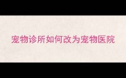 宠物诊所如何改为宠物医院