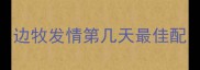 边牧发情第几天最佳配
