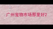 广州宠物市场那里好
