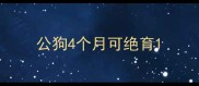 公狗4个月可绝育