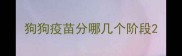 狗狗疫苗分哪几个阶段